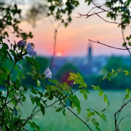 Dom wakacyjny Les Maisons D'aure *