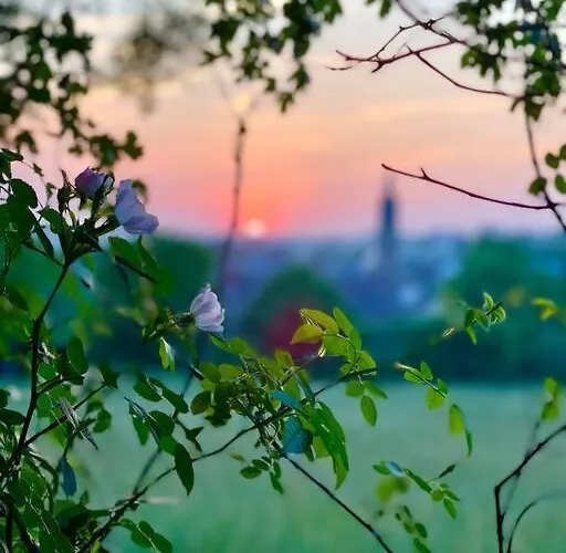Semesterbostad Les Maisons D'aure *