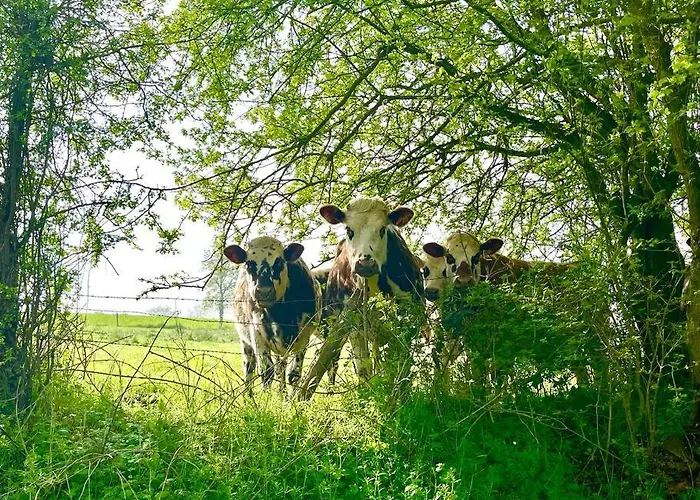 Les Maisons D'aure * Putanges